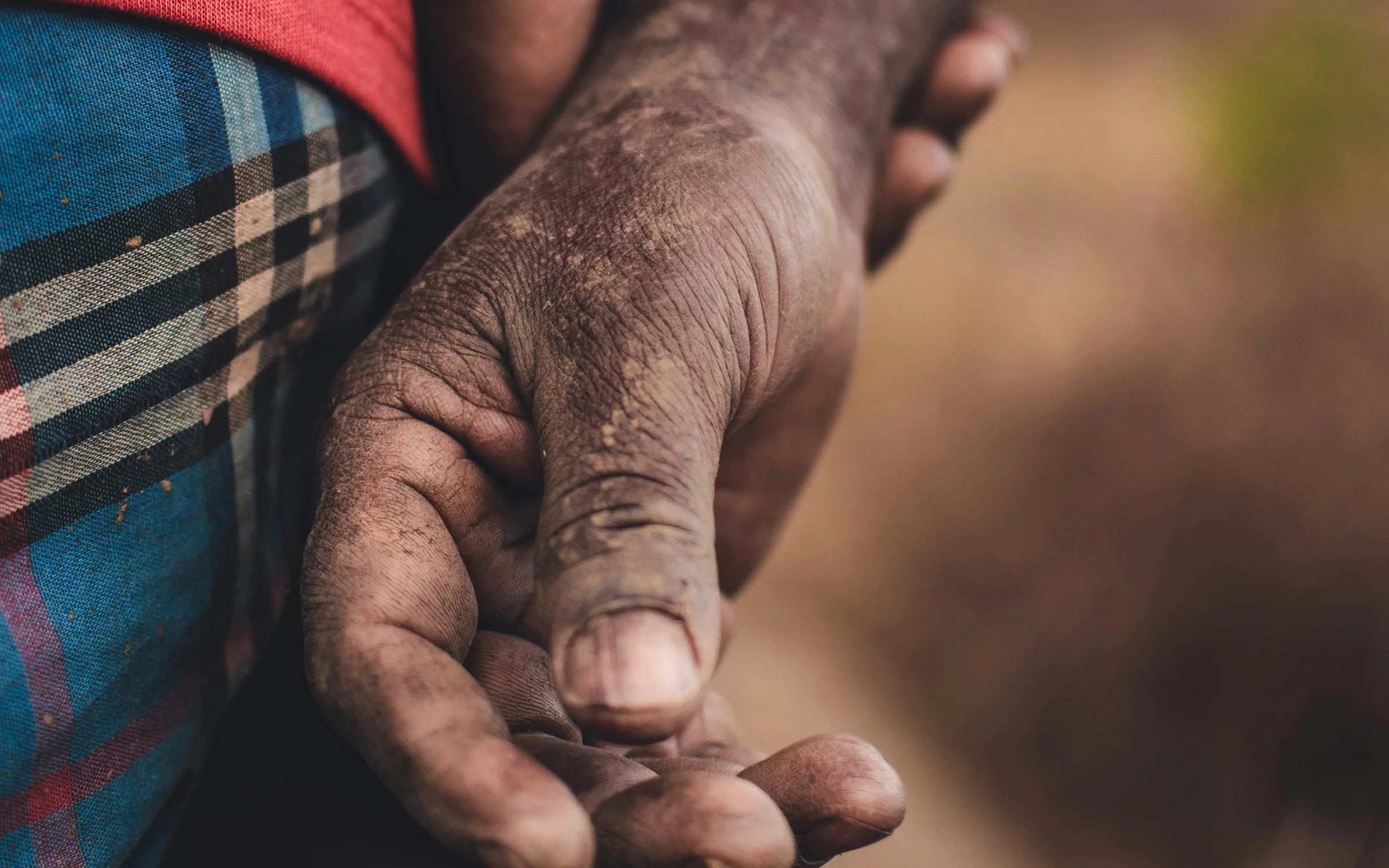A farmer's weathered hands, one resting in the other