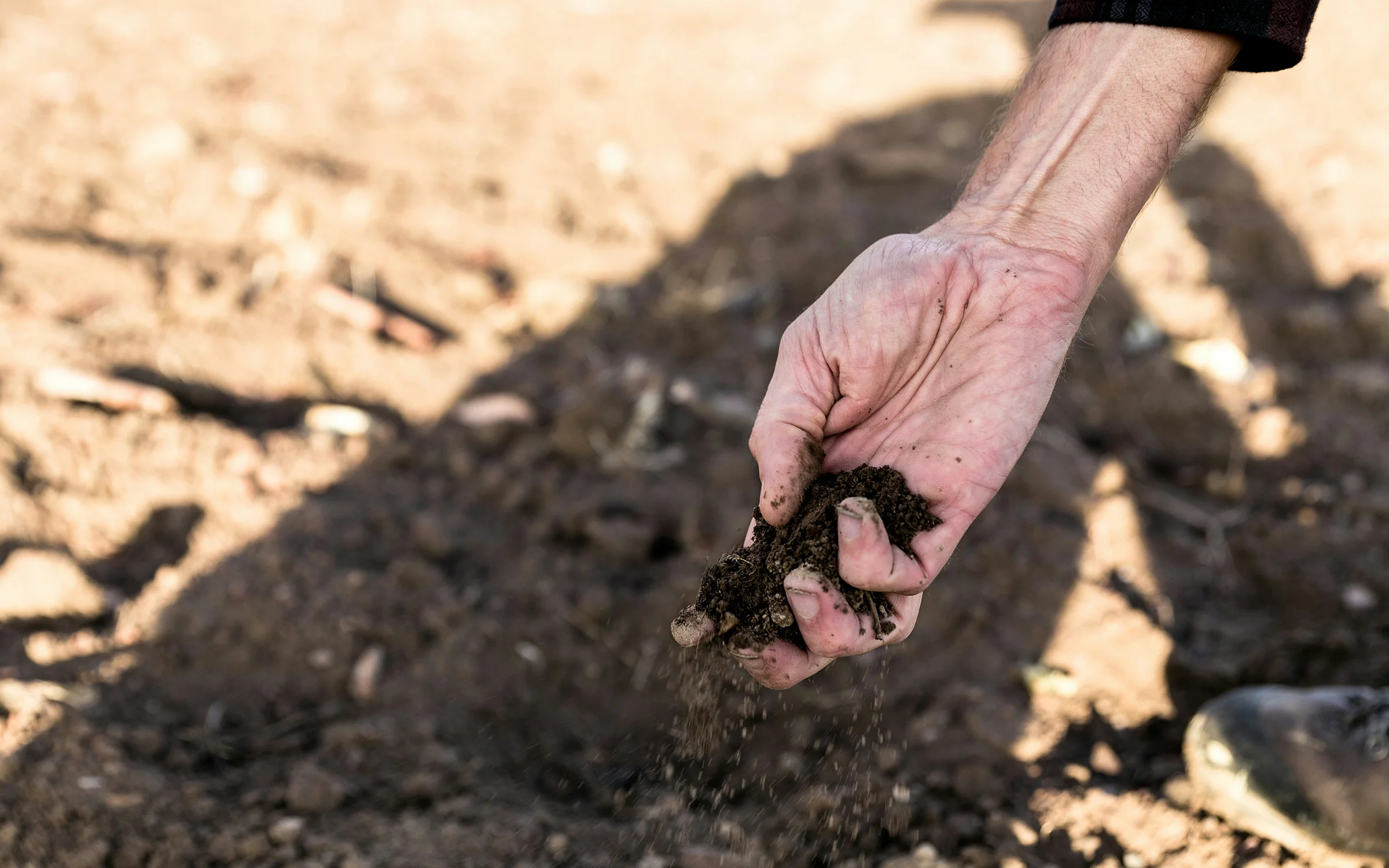 A hand letting dry soil fall through its fingers