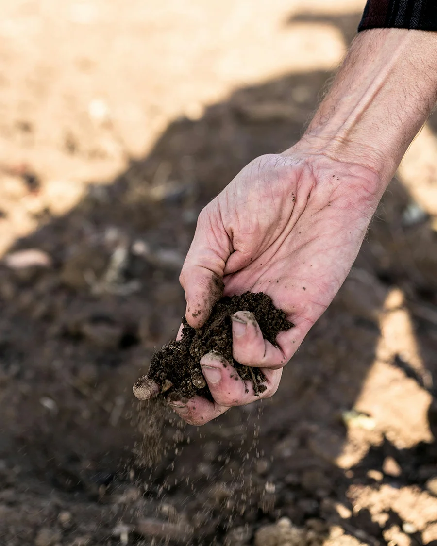 A hand letting dry soil fall through its fingers